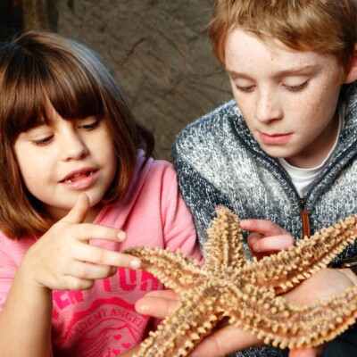 Blue Reef Aquarium Newquay