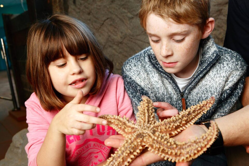 Blue Reef Aquarium Newquay