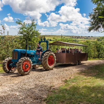 Healey’s Cornish Cider Farm