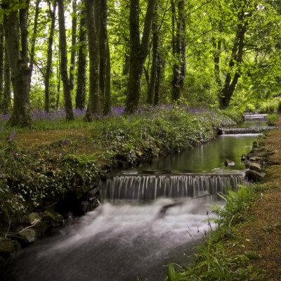 Tehidy Country Park