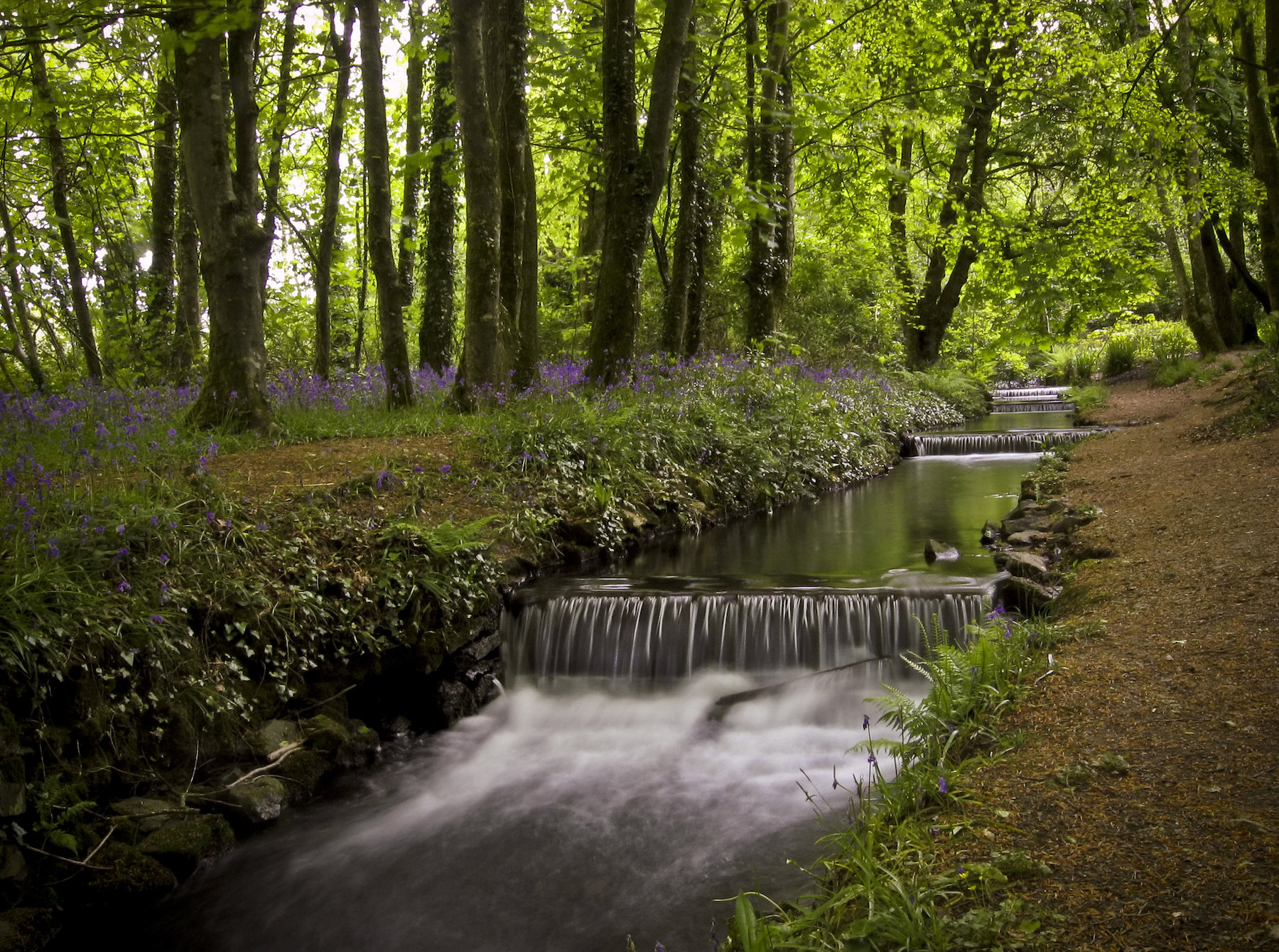 Tehidy Country Park